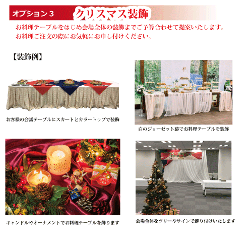 オプション３ クリスマス装飾