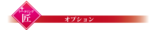 オプションバーナー